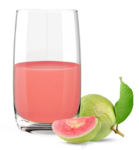 Fibra Activa Herbalife sabor Guayaba