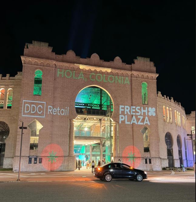 DDC Gtupo Disco Colonia