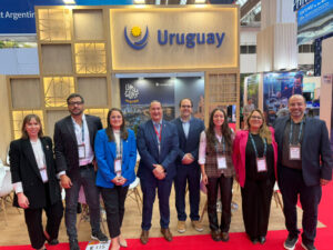 IMEX