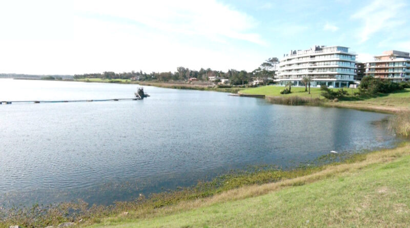 Laguna del diario