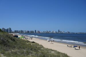 Playa punta