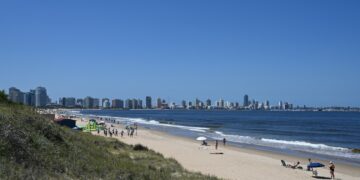 Playa punta