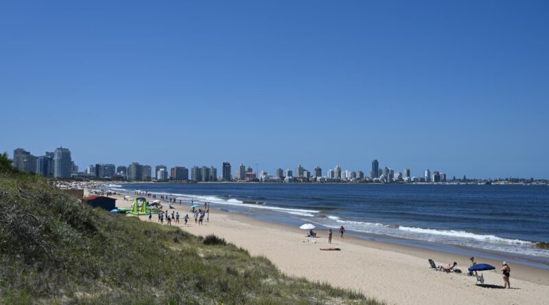 Playa punta