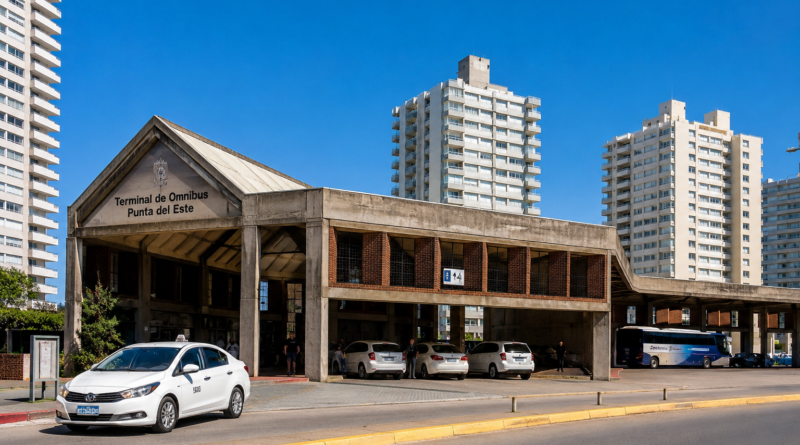 Terminal pde