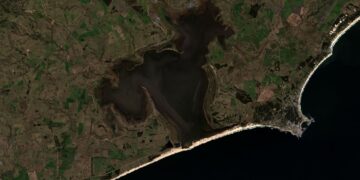 laguna de rocha uruguay landsat oli de agosto de