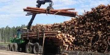 Madera