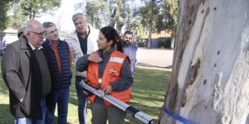 nuevos equipos evaluacion arboles ()