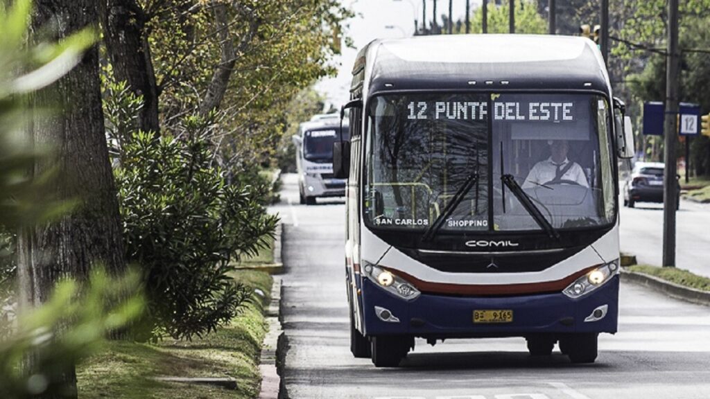 transporte colectivo