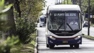 transporte colectivo