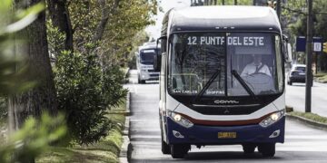 transporte colectivo