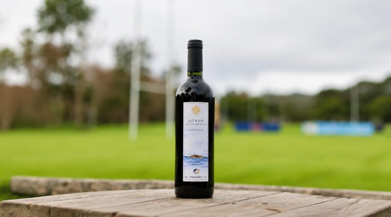 Vino Lobos Punta del Este
