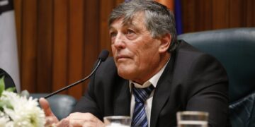 presidente junta maldonado