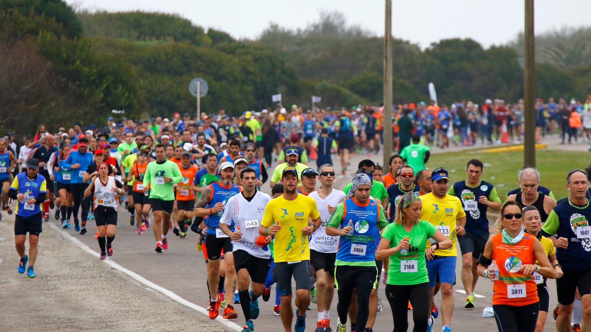maratón pde ok