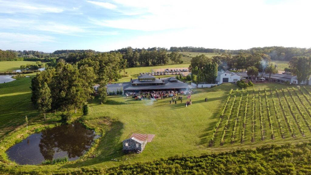 narbona punta del este