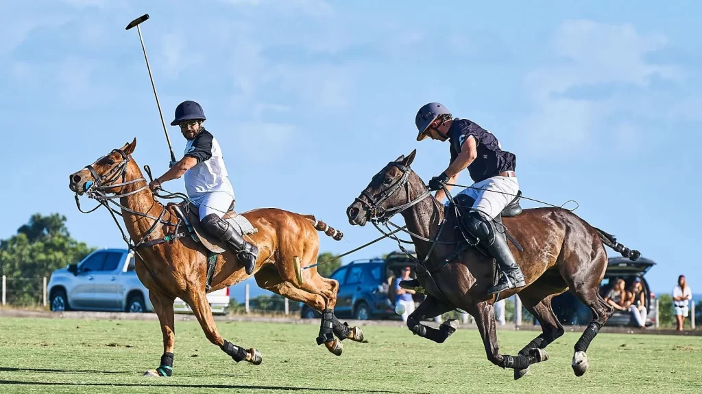 polo