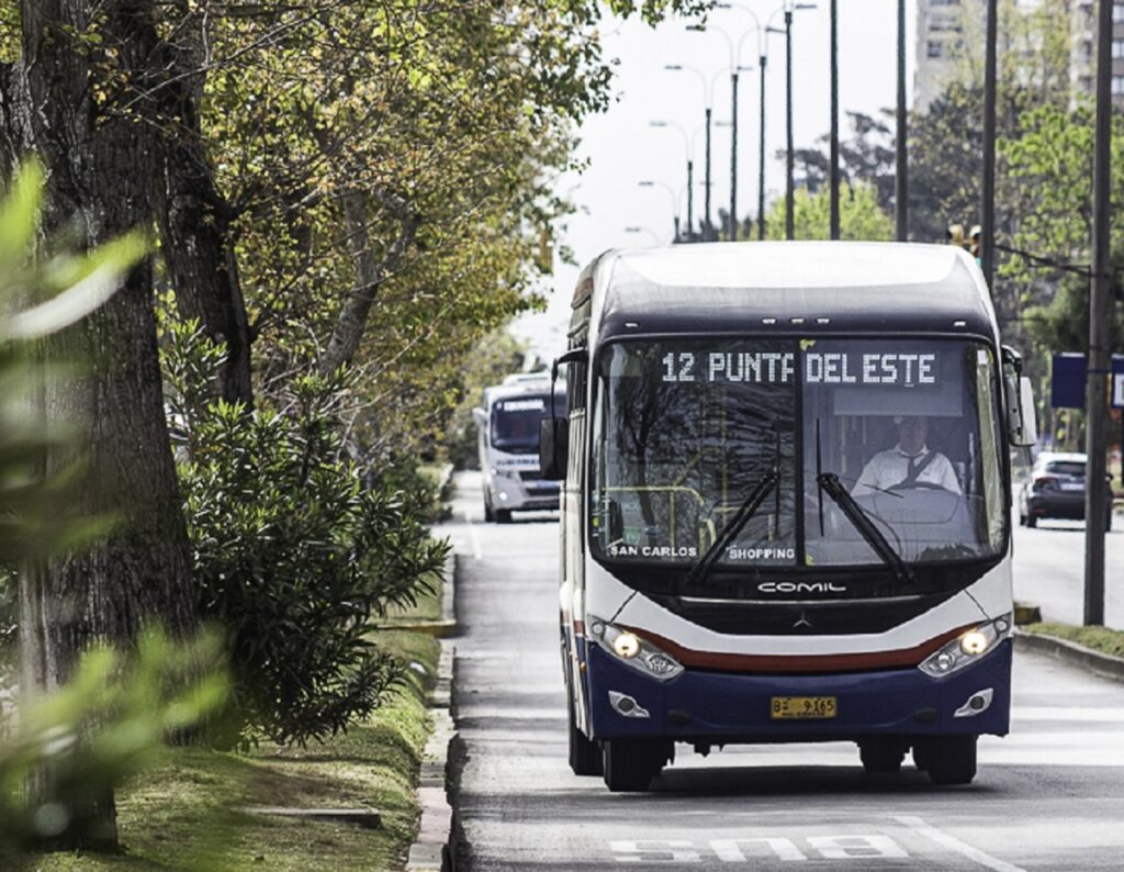 bus