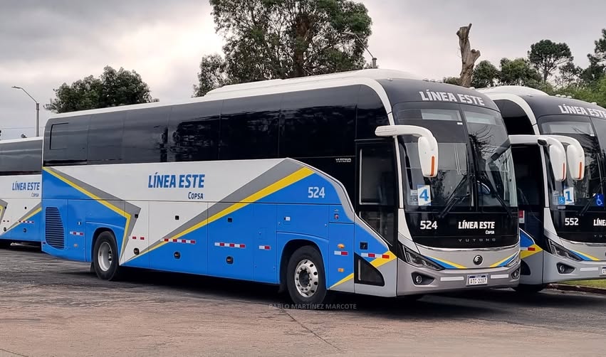 linea este